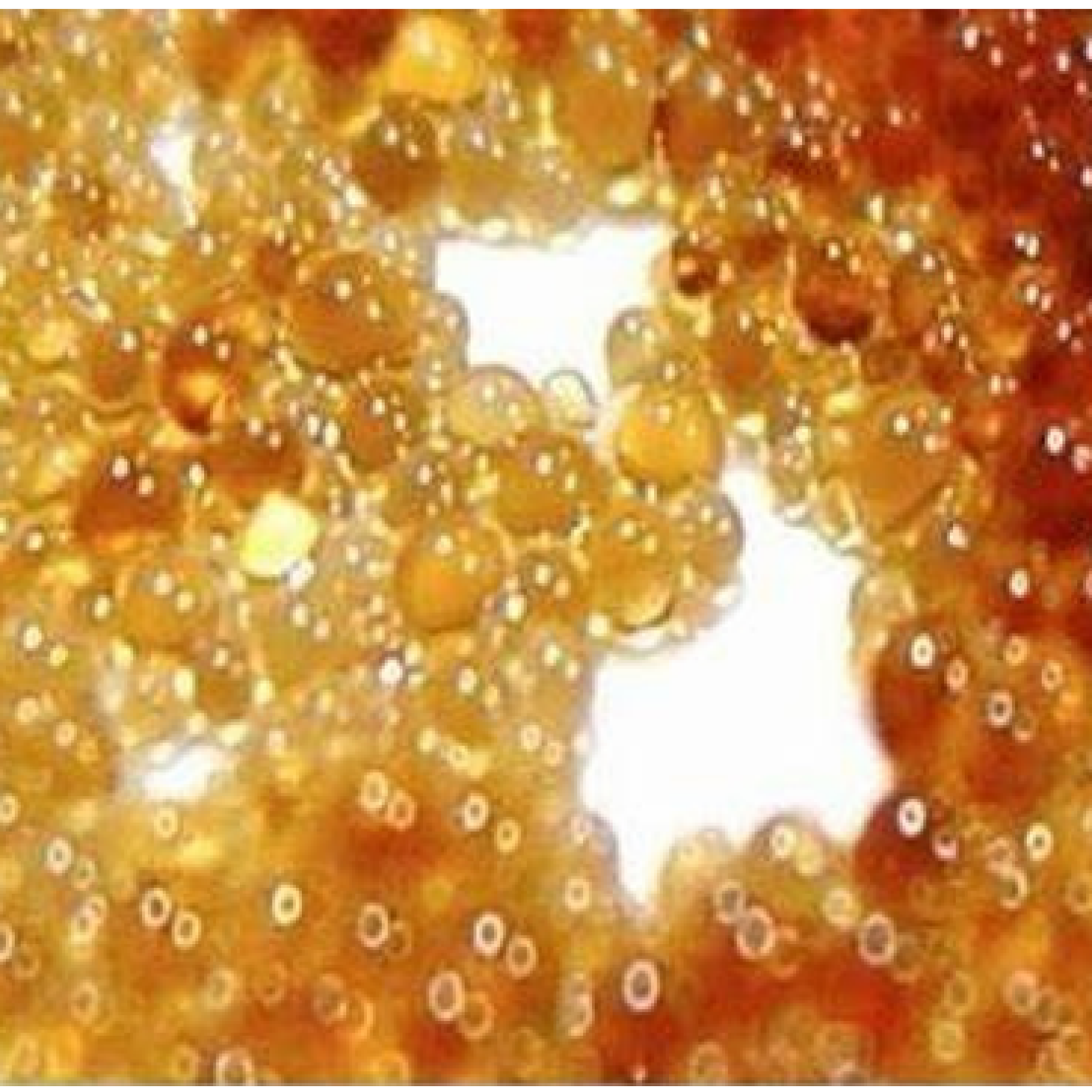 Ion Exchange Resin